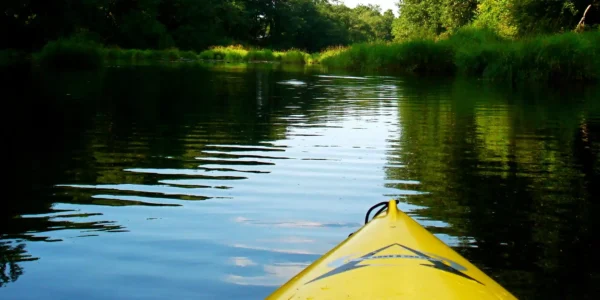 Szkoła przetrwania. Imprezy dla firm. Organizacja imprez integracyjnych. Survival.