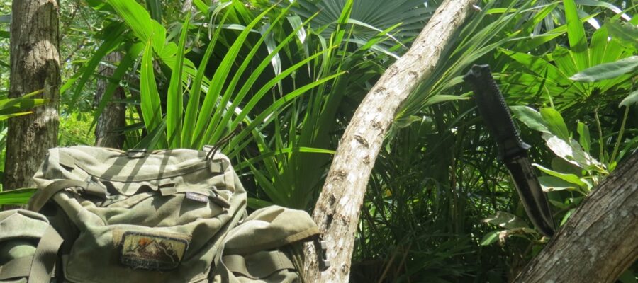 Survival tropikalny – jak przetrwać w dżungli i wilgotnym klimacie 5 Dzungla Survival 1