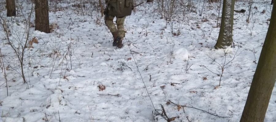 Ćwiczenia z trackingu – jak rozwijać umiejętność tropienia zwierząt w praktyce 3 Nauka Tropienia Survival 14