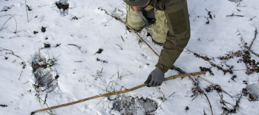 Tropienie zwierząt – wprowadzenie do jednej z najważniejszych umiejętności survivalowych 5 Nauka Tropienia Survival 4