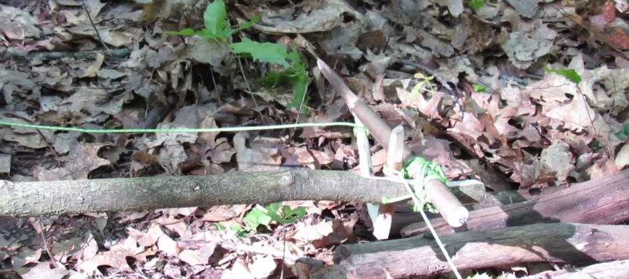 Pułapka Włócznia (Spring Spear Trap) – jedna z najbardziej niebezpiecznych pułapek survivalowych 2 Niebezpieczne Pulapki Survival 1