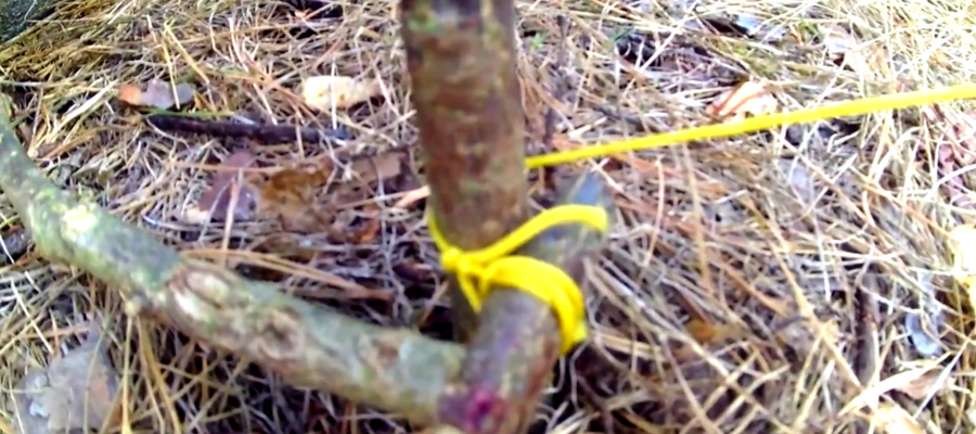 Pułapka Paiute Deadfall – jak działa jedna z najbardziej zaawansowanych pułapek survivalowych 5 Pulapka Paiute Instrukcja 4