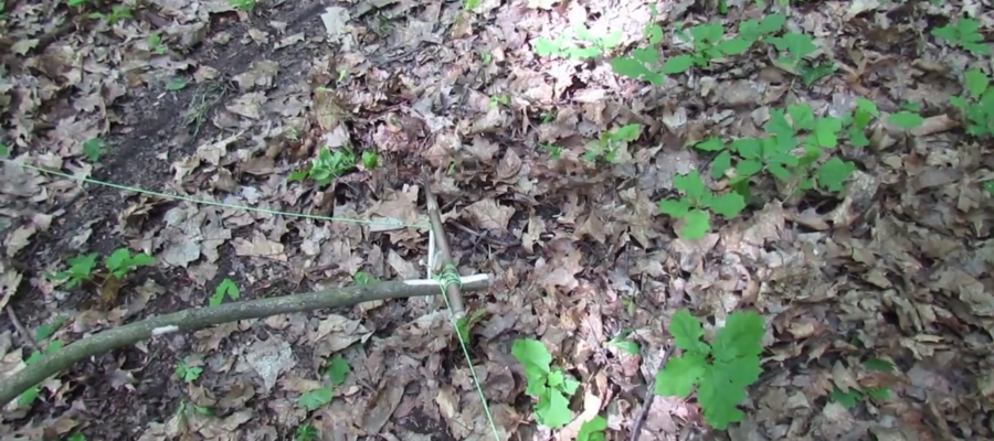 Pułapka Włócznia (Spring Spear Trap) – jedna z najbardziej niebezpiecznych pułapek survivalowych 5 Sprezynujaca Pulapka Wlocznia 4